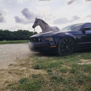 Meet your Posher, Gary